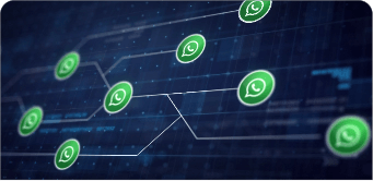 WhatsApp Automation