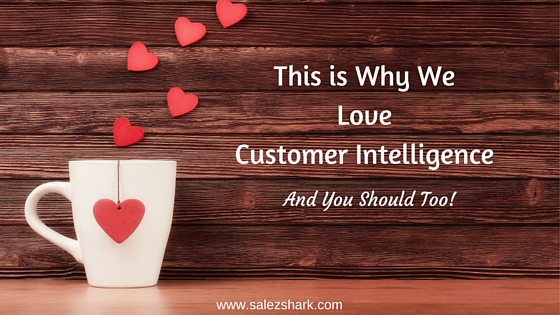 Why We Love Customer Intelligence and You Should Too!