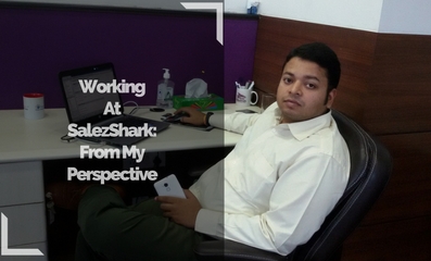 Working at SalezShark; From a Sales Chief’s Perspective