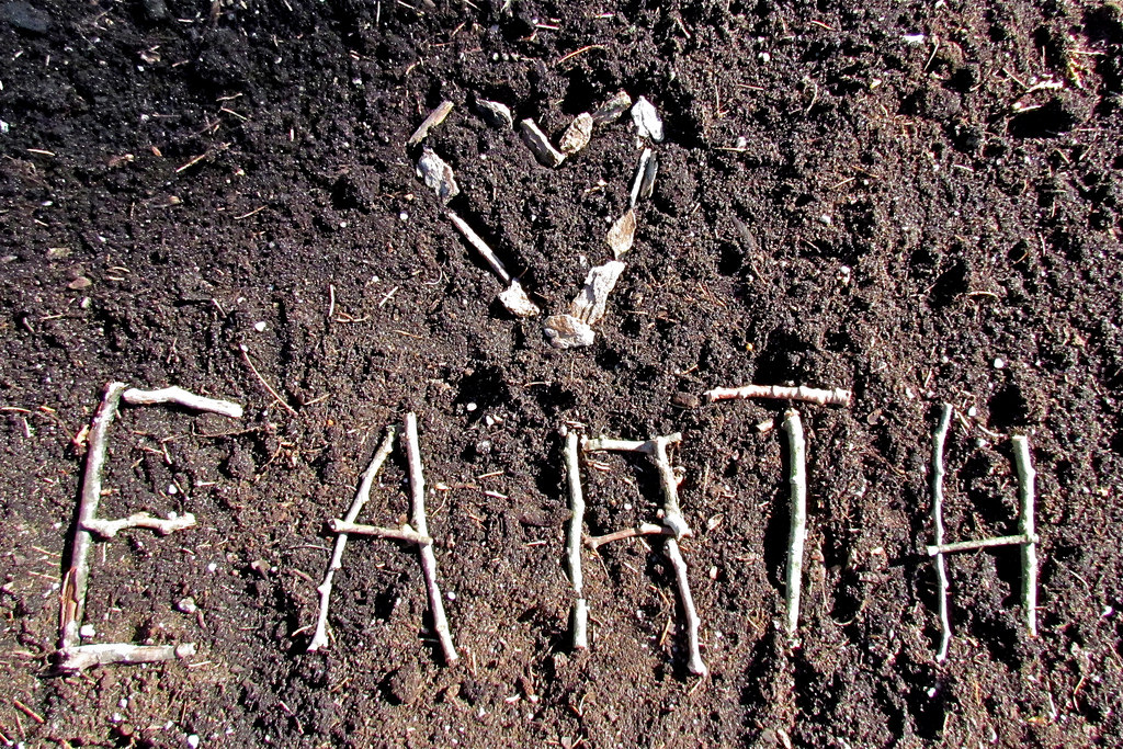 Fast Track your Company’s Eco-Consciousness this Earth Day