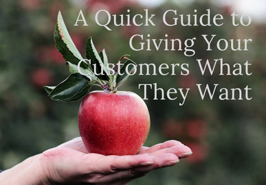 A Quick Guide to Getting a Glimpse into the Mind of Your Audience