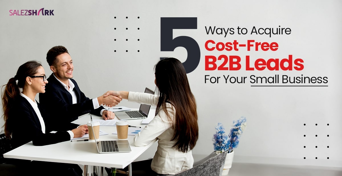 Five Ways to Acquire Cost-Free B2B Leads for Your Small Business