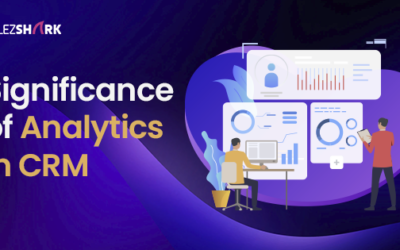 What is the Significance of Analytics in CRM for Businesses?