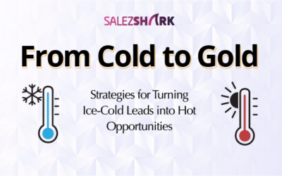 From Cold to Gold: Strategies for Turning Ice-Cold Leads into Hot Opportunities